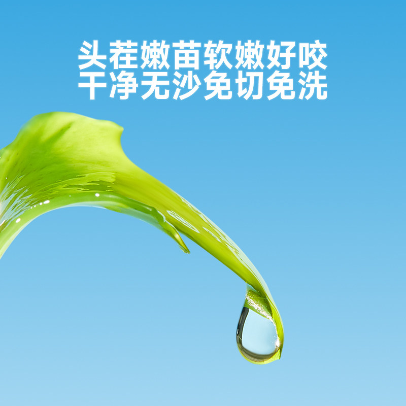 窝小芽深海配菜儿童裙带菜干货无沙免洗高钙送婴幼儿宝宝辅食食谱