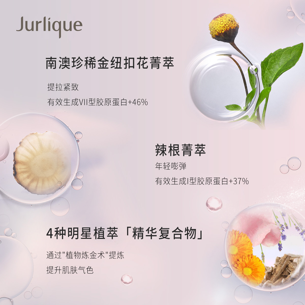 【618狂欢节】Jurlique/茱莉蔻新臻萃活颜菁粹液100ml收缩毛孔 - 图2