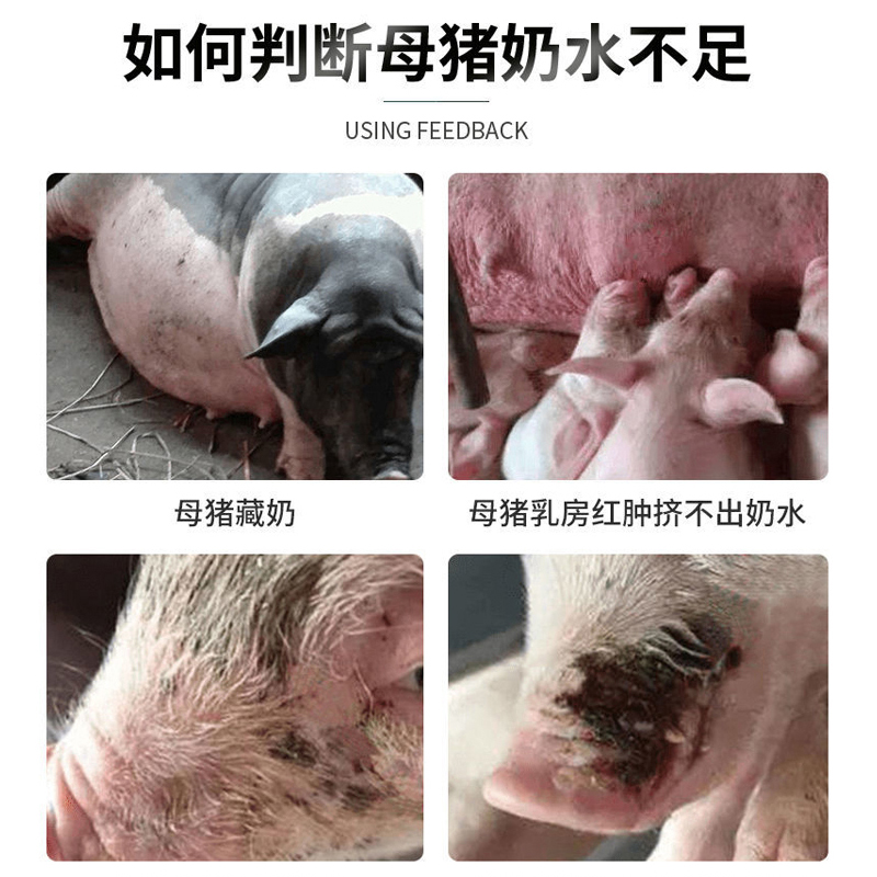 奶多多兽用母猪下奶催奶产奶催乳增奶猪牛羊畜用饲料添加剂用药-图1