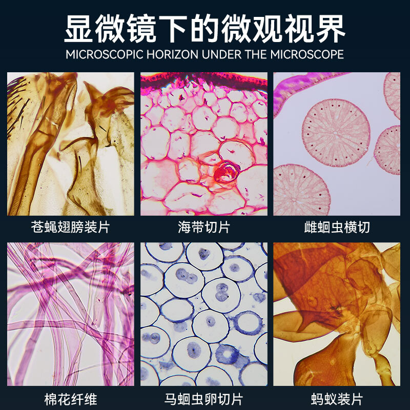 奥斯微实验光学生物显微镜科学实验镜子养殖6000倍生物实验室教学研究专业医学高倍高清套装含标本 - 图2