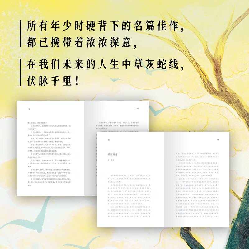终不似,少年游儿时囫囵背下的课文,在生命的这一刻击中了我;人无法同时拥有青春和青春的感受,重读语文课本,重遇