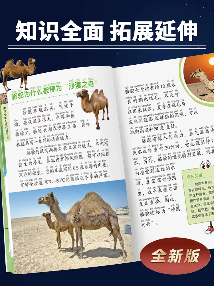 中国儿童百科全书全套8册 少儿版科普读物少年儿童百科全书小学生科学百科大全青少年版恐龙海洋生物地理植物海洋太空大百科全书