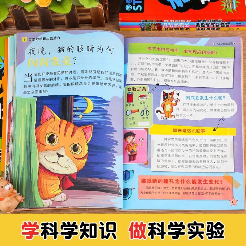 奇思妙想玩出创造力 全6册专注力判断力分析记忆观察空间动物物理科普百科全书儿童黄金期全脑左右脑智力大开发逻辑思维训练书籍