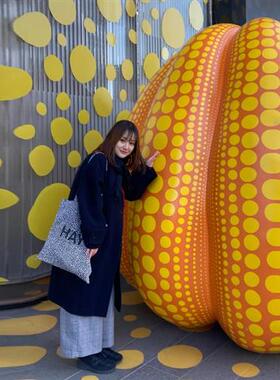 草间弥生波点南瓜大摆件户外玻璃钢雕塑园林景观大型小品落地装饰