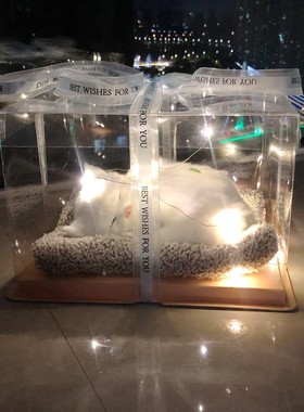 灯光礼盒竹炭净化空气