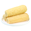 【右上角金币】白糯玉米280g×8根