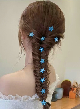 pin Girl Cute Headdress Girl Mini Hair Claw Hair Accessories