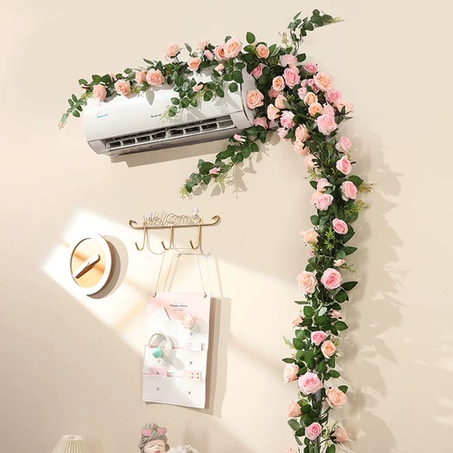 Смоделированная розовая винограда Кондиционирование