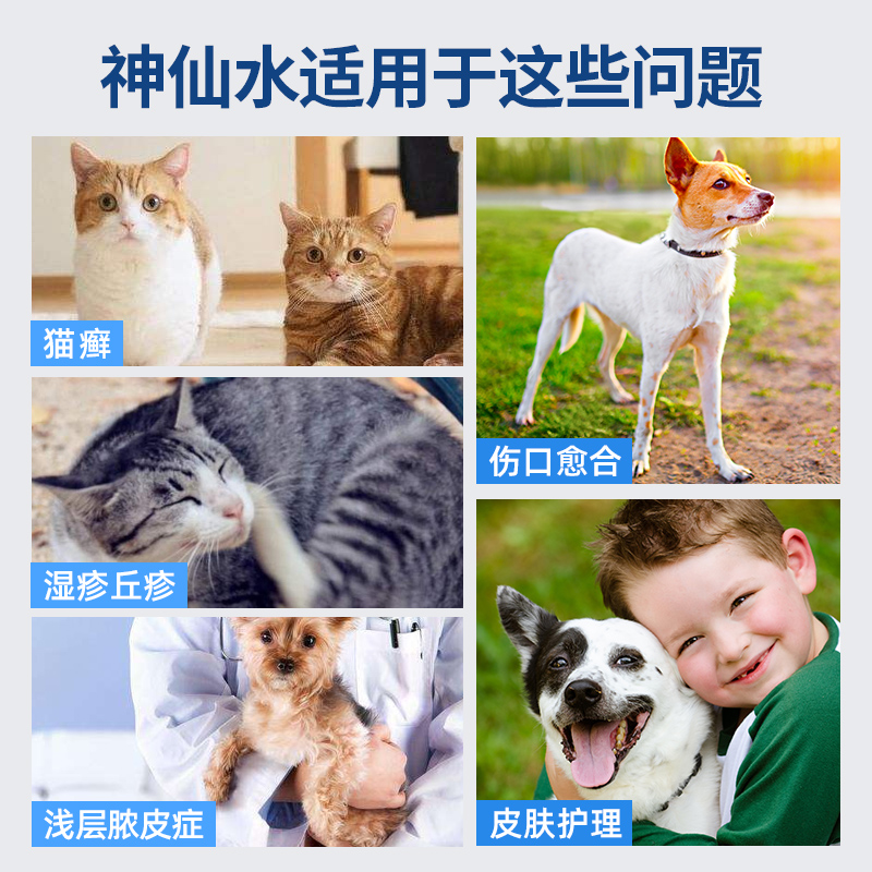 麦高臣宠物神仙水猫癣外用药猫藓喷雾狗狗皮肤病喷剂狗猫咪消炎 - 图2