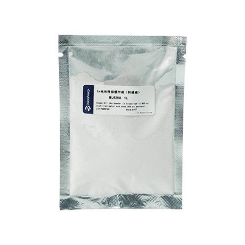 BL626A 1×电泳转移缓冲液（转膜液）western blot  Transfer Buffer 转印液 转印冻干粉 - 图3