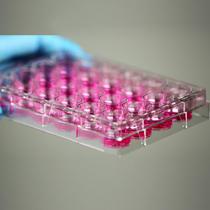 NEST endurance 6 12 24 24 48 96 96 cultured plate flat bottom patch wall cell culture plate suspended cell culture plate 703001701001712001