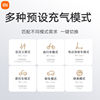 Xiaomi Inflatable 2pro Mijia car air pump