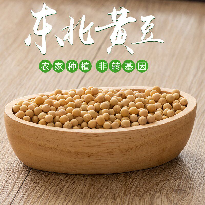 东北非转基因黄豆可打豆浆生芽豆 画迈黄豆