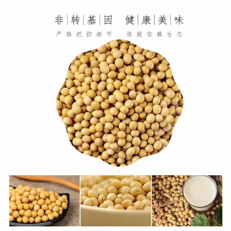 19年新黄豆农家自种500g笨特价大豆 画迈黄豆
