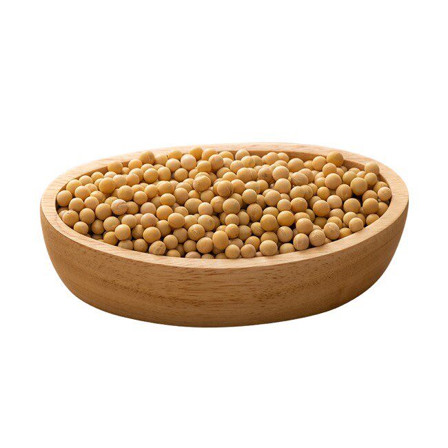 东北非转基因黄豆可打豆浆生芽豆 画迈黄豆