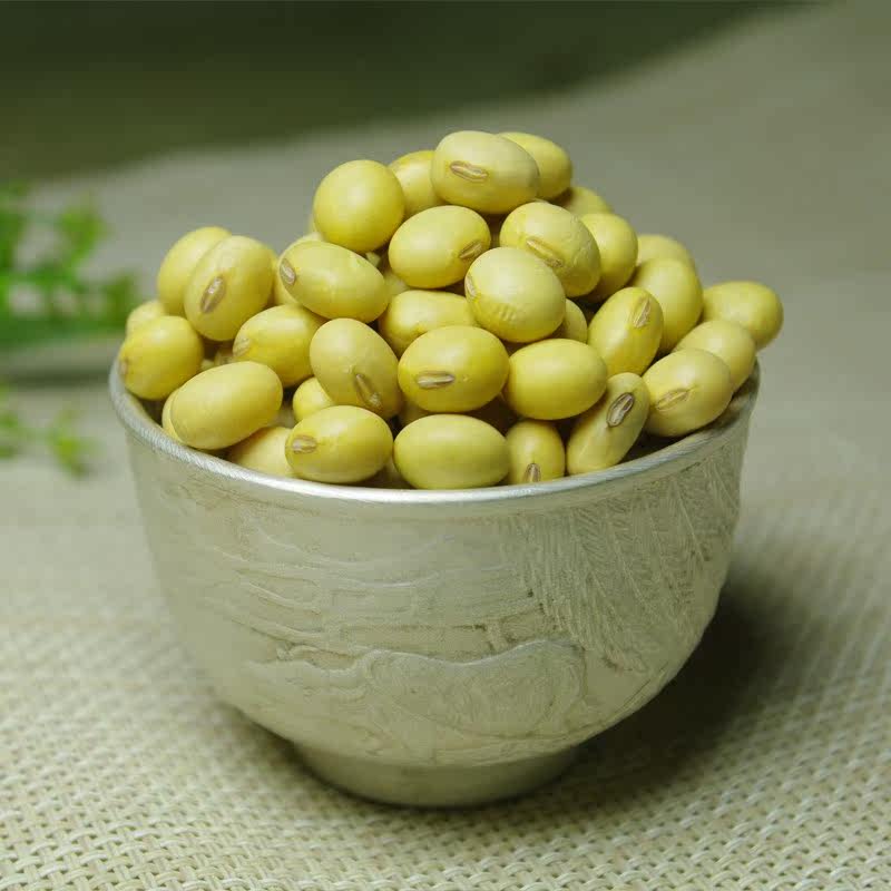 山西农家特级品种大粒笨黄豆大豆 画迈黄豆
