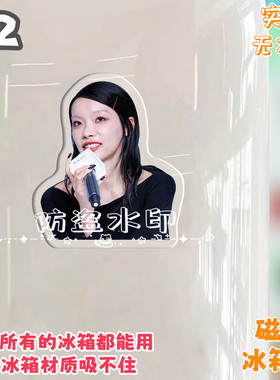 刘柏辛冰箱贴磁吸亚克力定制