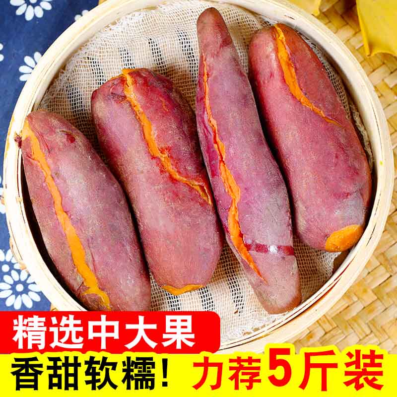 新鲜板栗薯农家自种番薯10斤小山芋 橙哥镖局番薯