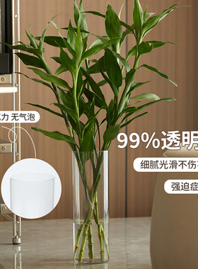 防摔水养花瓶亚克力简约