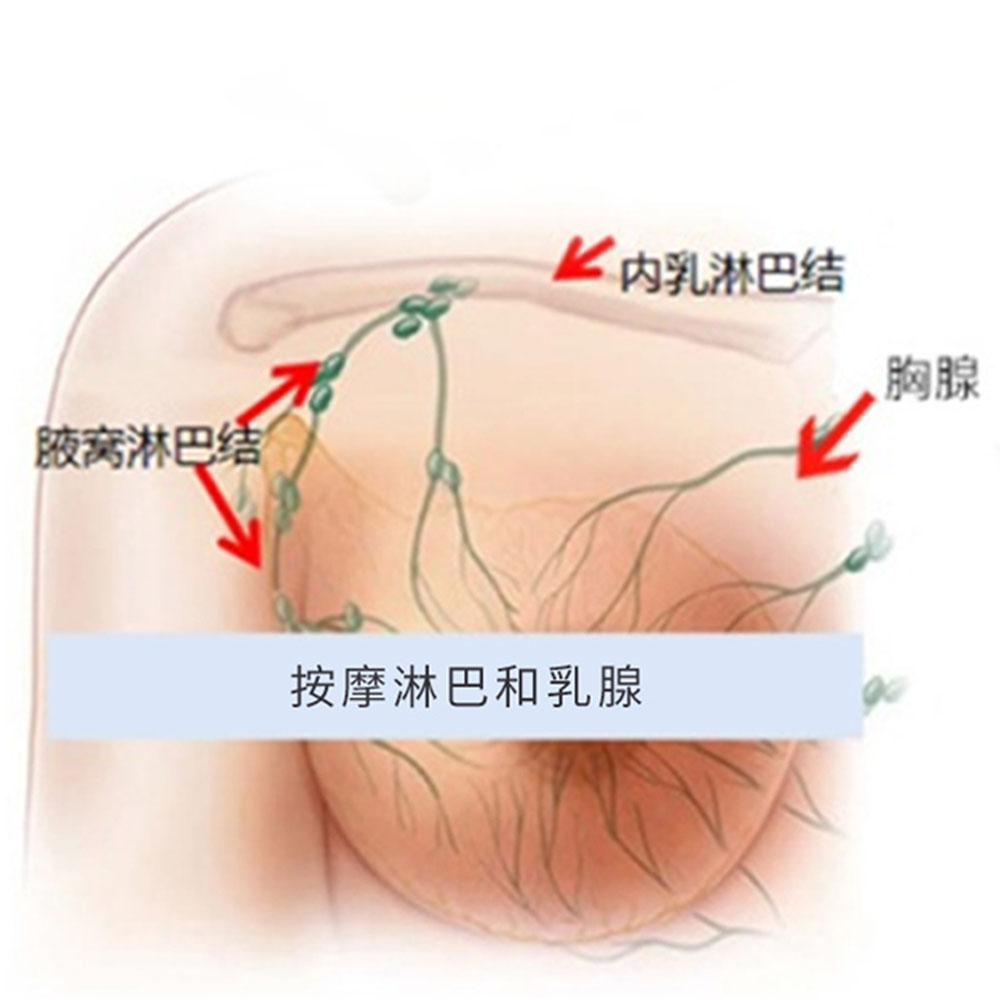 乳房按摩器疏通乳腺按摩梳经络梳绿檀全身经络疏通神器刮痧工具-图1