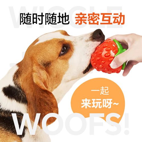 FOFOS两只福狸狗狗玩具耐咬发声磨牙解闷胡萝卜水果蔬菜宠物玩具 - 图3