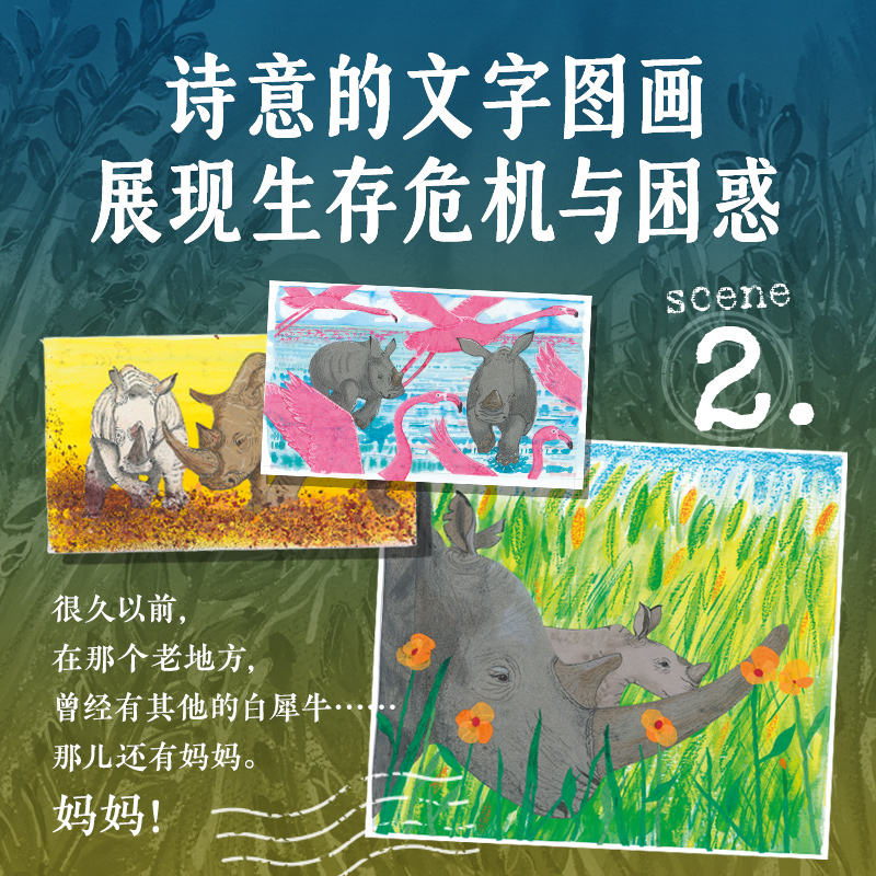 【点读版】最后的白犀牛 海豚绘本花园儿童图书亲子阅读宝宝睡前图画故事书籍正能量3-4-5-6岁儿童小鸡球球小猴皮皮豚小蒙点读绘本