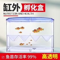 Fish tank isolation hatchbox Peacock fish tropical fish small fish juvenile fish fry cylinder Outer independent breeding box maternity ward