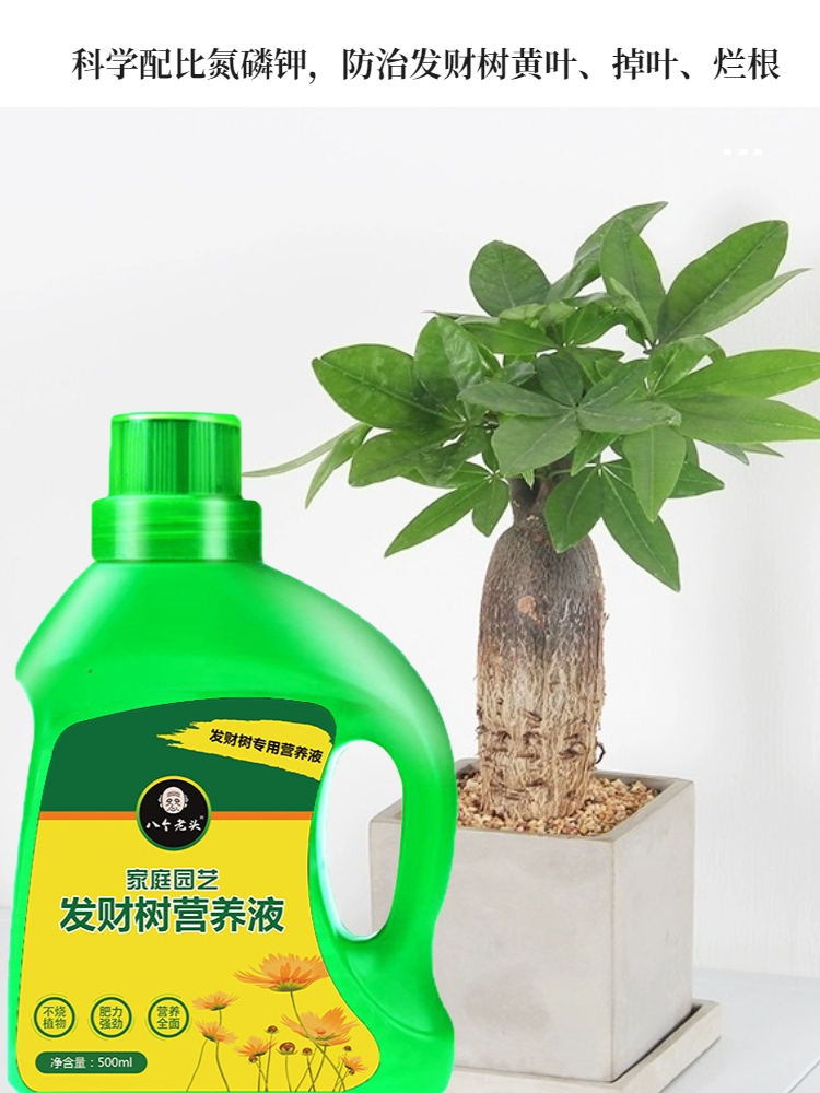 发财树专用营养液肥料家用盆栽植物治黄叶烂根壮苗液体肥植物通用 - 图2