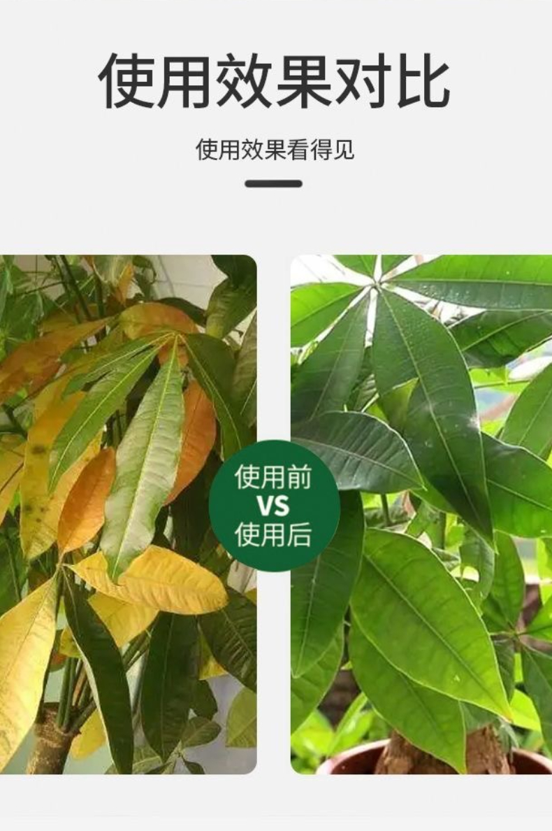 发财树专用营养液肥料家用盆栽植物治黄叶烂根壮苗液体肥植物通用 - 图1