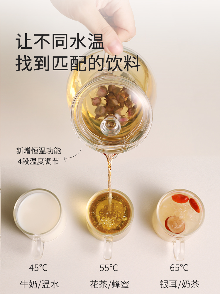 办公室mini小型养生壶玻璃电茶炉 华智康电茶炉/煮茶器/奶茶机