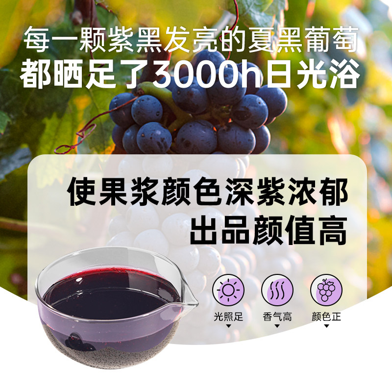 夏黑葡萄浓缩果汁1.2kg樱桃茶饮 芝芝满杯葡萄多肉葡萄水果茶刨冰,淘宝优惠券,粉丝福利购,淘宝优惠卷
