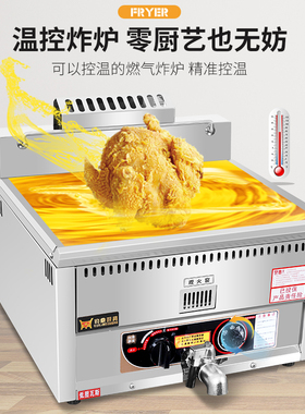 豹鼎台式双缸12燃气自动控温燃气