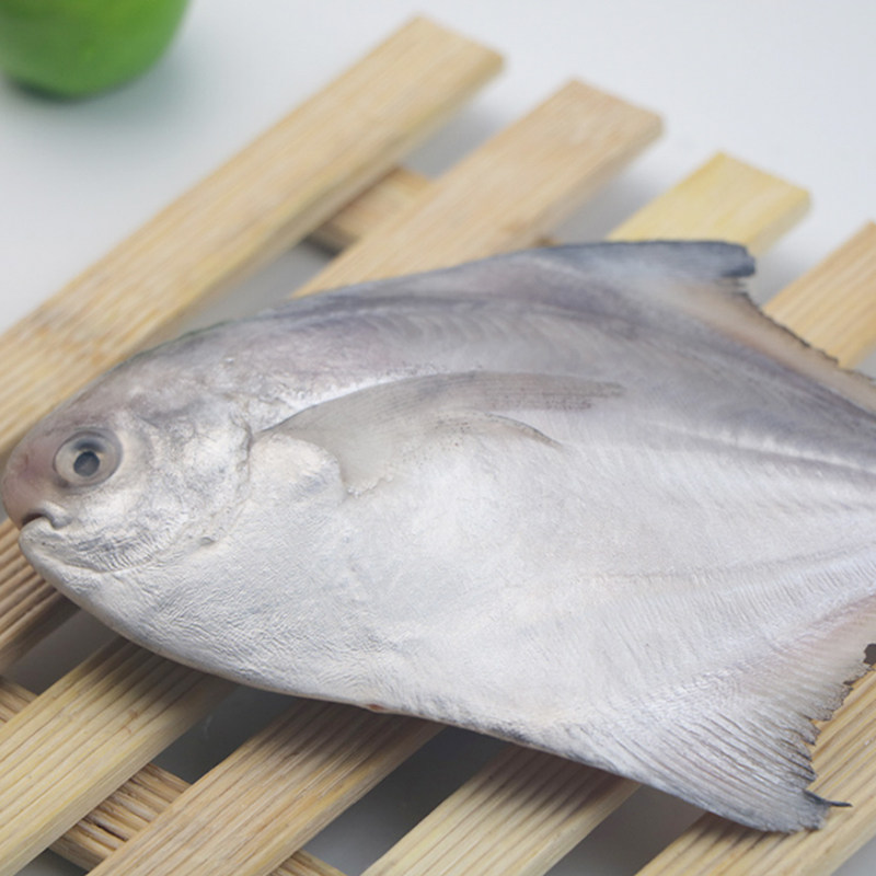 鲳鱼新鲜冷冻鲜活深海野生大银鲳白鲳扁鱼昌