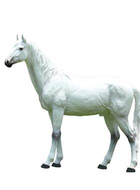 公园景观草坪装饰摆设户外园林雕塑仿真动物模型玻璃钢大白马摆件