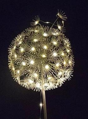 户外仿真不锈钢蒲公英雕塑铁艺发光摆件公园林草坪小区景观装饰品