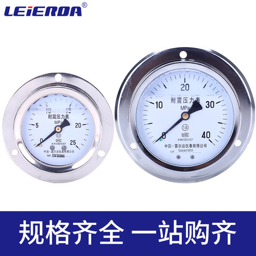 雷尔达轴向带边耐震压力表面板安装YN100ZT,YN60ZT气压油压水压 - 图3