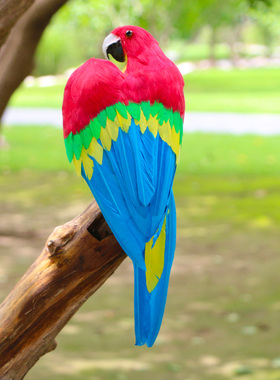 热卖羽毛彩色花园金刚鹦鹉小鸟
