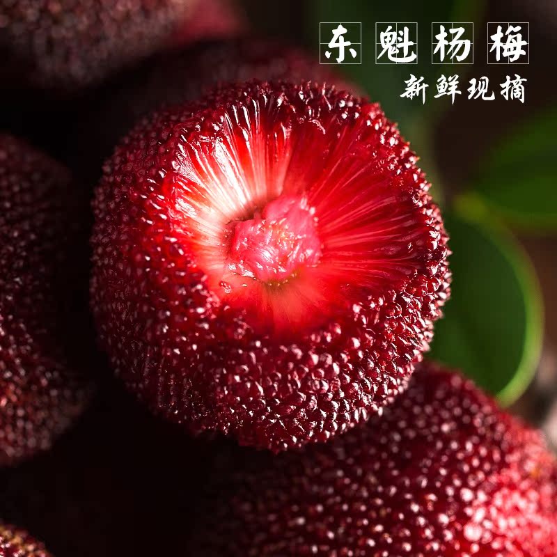 九颂山河旗舰店新鲜杨梅1斤大东魁杨梅酸甜当季应季水果孕妇现摘整箱非云南仙居51