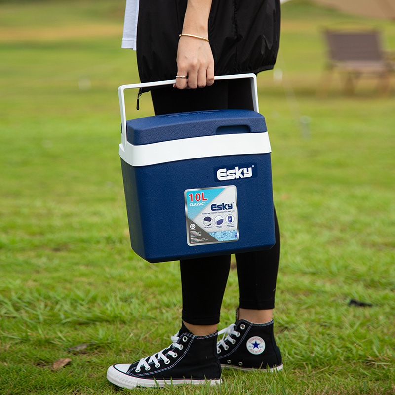 esky10L保温箱车载冷藏箱户外野餐便携保冷箱食品食物保冷保鲜箱-图0