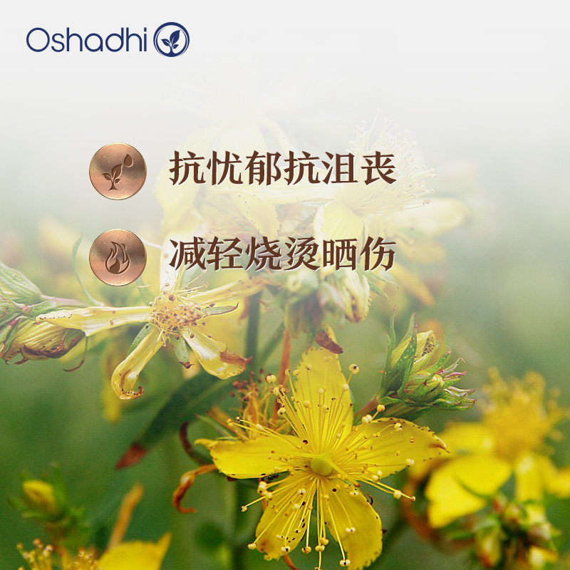 oshadhi德国O家圣约翰草浸泡油基础油精华油缓解晒伤缓解焦虑,淘宝优惠券,粉丝福利购,淘宝优惠卷