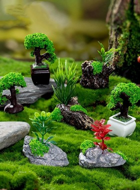 微景观鱼缸盆栽迎客松小盆景diy园艺生态瓶装饰品配件桌面小摆件