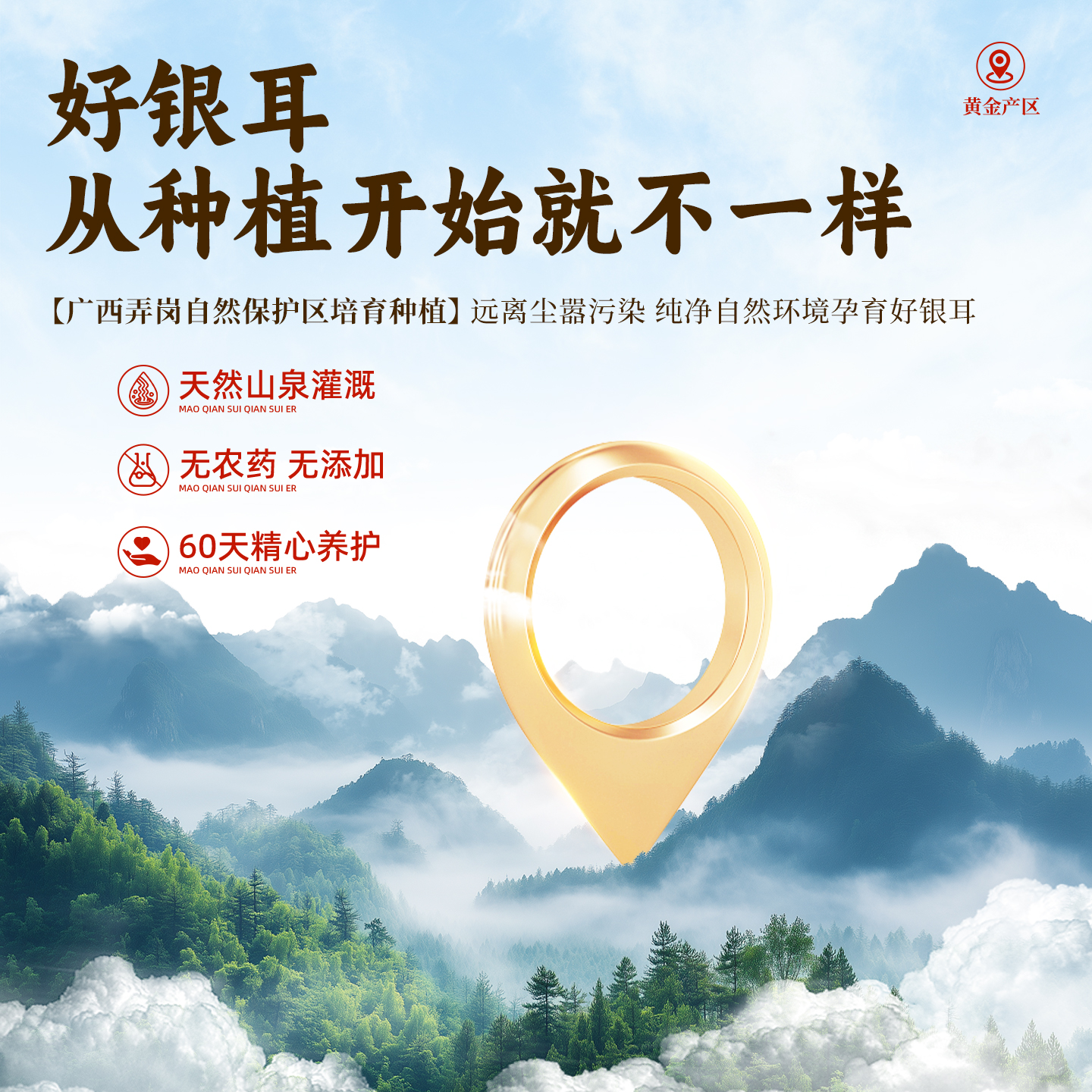 猫千岁有机草本银耳干货官方旗舰店白木耳野生冲泡即食银耳羹伴侣