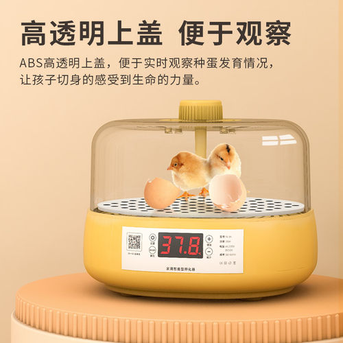 孵蛋器芦丁鸡小鸡孵化器小型家用智能孵化机水床鹦鹉全自动孵化箱 - 图1