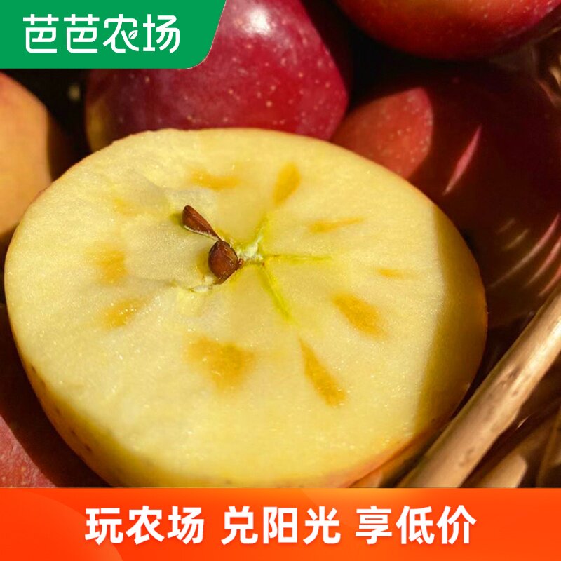 四川大凉山盐源现摘冰糖心丑苹果新鲜水果萍果平果整箱批发