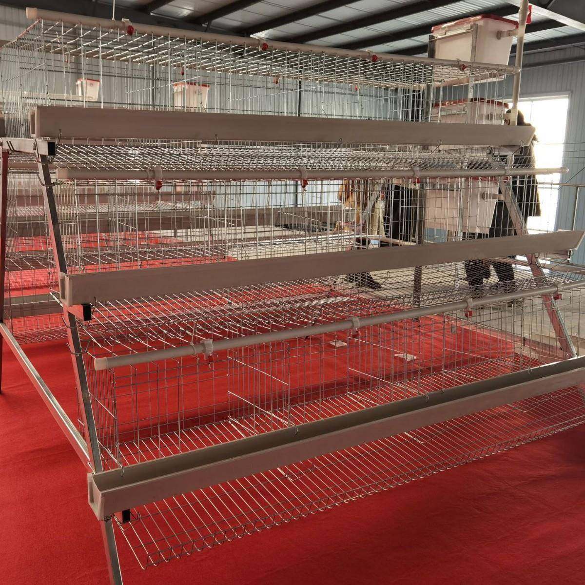 A型阶梯蛋鸡笼源头厂家三层四门阶梯蛋鸡笼热镀锌鸡舍家用养殖场,淘宝优惠券,粉丝福利购,淘宝优惠卷
