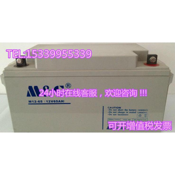 M&G迈格M12-2.2蓄电池12V1.3AH2.2A2.6A7A18A24A38A65A防火卷帘门 - 图2