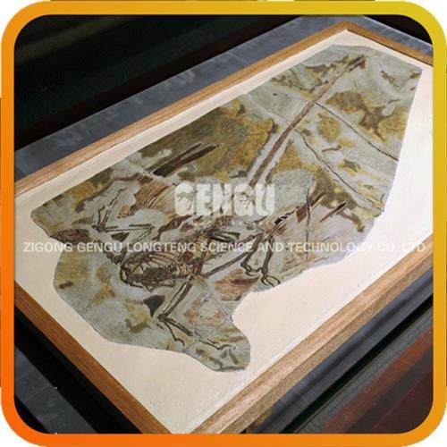 恐龙骨架化石骨架化石复制品化石模型 - 图2