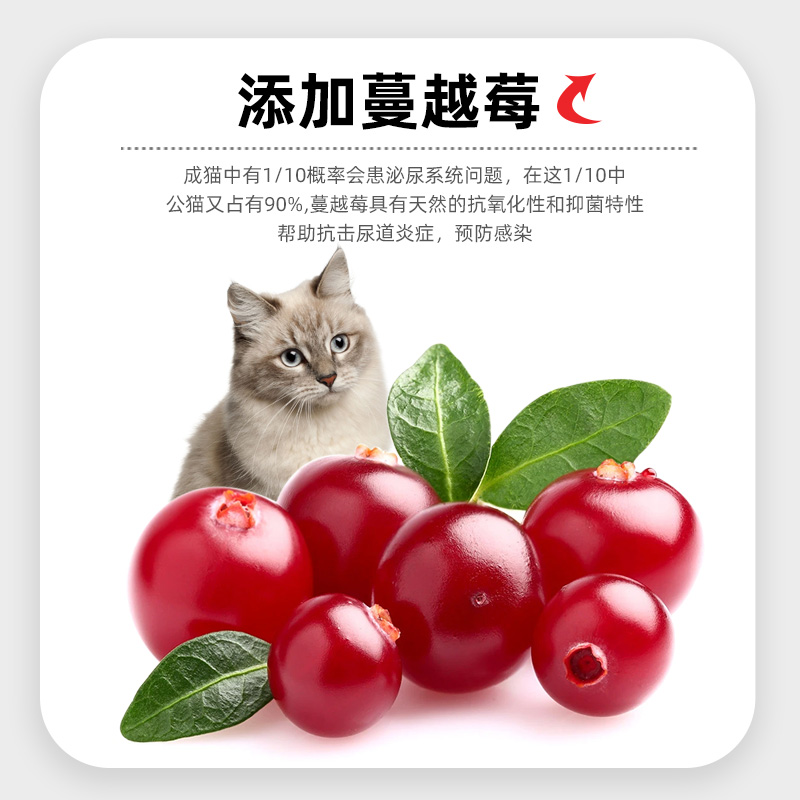 原本成猫粮全价泌尿无谷营养增肥发腮布偶成猫专用试吃装50g*4包-图2