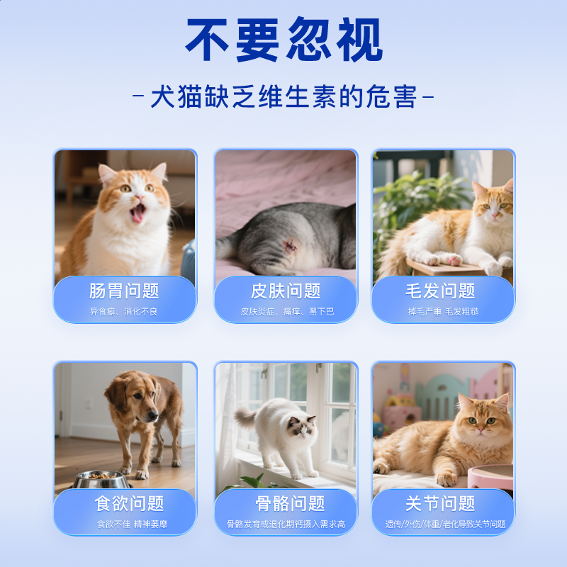 原本猫咪复合维生素冻干猫狗营养膏宠物专用多种维生素b猫用,淘宝优惠券,粉丝福利购,淘宝优惠卷