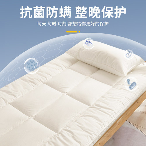 棉淑床垫子学生宿舍单人租房专用软垫家用卧室褥子打地铺地上睡觉 - 图3